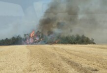 Военен хеликоптер участва в гасенето на горски пожар в Област Враца Пожарът в Област Враца