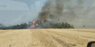 Пожарът в Област Враца