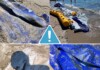 Полицията във Варна проверява сигнал за повредени съоръжения в аквапарк