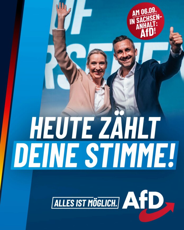 AfD AfD