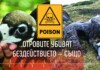 Отровени лешояди