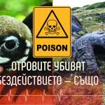 Природозащитници излизат на протест след отравянето на 8 лешояда Отровени лешояди