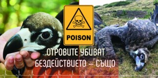 Отровени лешояди