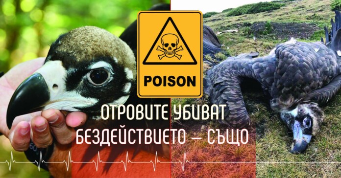 Отровени лешояди Отровени лешояди