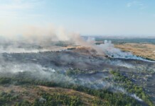 Пожарът в Община Средец