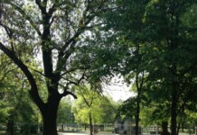 Брутално нападение в парк в София: Двама с обвинения, единият вече на свобода Парк „Света Троица“