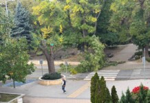 Ураганен вятър до 110 км/ч в Сливен: Мъж е в тежко състояние, след като дърво се е стоварило върху него Ураганен вятър до 110 км/ч в Сливен: Мъж е в тежко състояние, след като дърво се е стоварило върху него