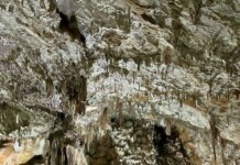 Близо 6000 туристи са посетили пещерата край Асеновград Пещерата
