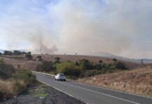 Голям пожар избухна край село Изворище Пожар