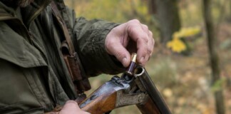Оловни сачми