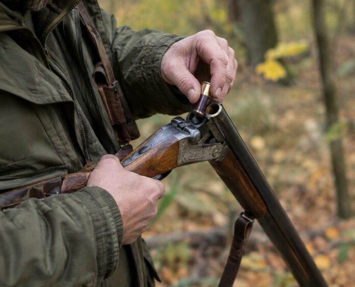 Оловни сачми Оловни сачми