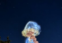 „Космическа медуза“ озари небето над Флорида след изстрелване на ракета на SpaceX Светещата медуза в небето