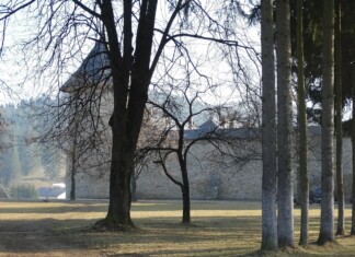 Буковина